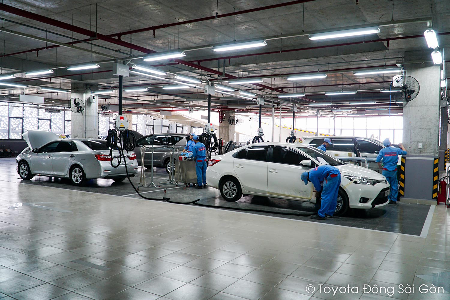 Program "Toyota Phap Van service promotion"
