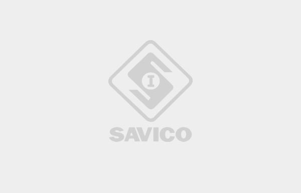 SAVICO - Top 500 doanh nghiệp lớn nhất Việt Nam 2012 